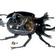 Image for article titled Cyborg taxidermy transforms beetles into airplanes and buses